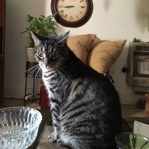 Meet your Posher, Nancy